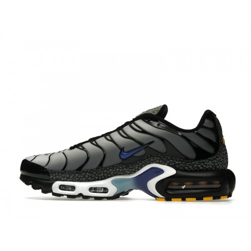 Кроссы Nike Air Max Plus Kiss My Airs Metallic Silver - мужская сетка размеров