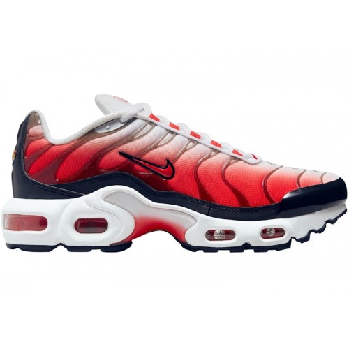 Кроссы Nike Air Max Plus Fire (GS) - подростковая сетка размеров