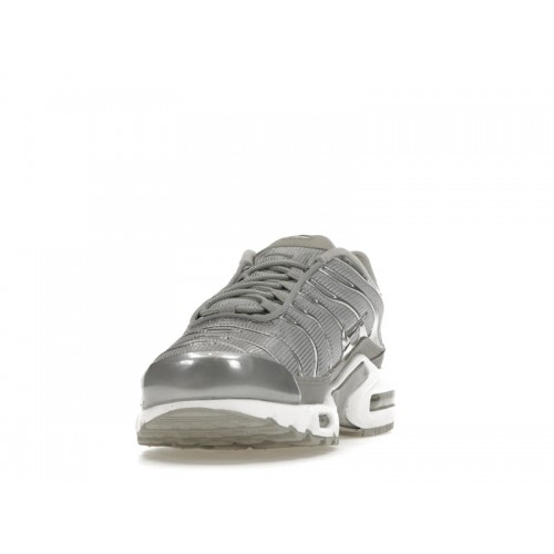 Кроссы Nike Air Max Plus Metallic Silver - мужская сетка размеров