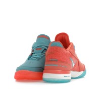 Nike Zoom LeBron NXXT Gen AMPD Miami