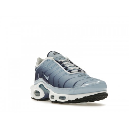 Кроссы Nike Air Max Plus Celestine Blue (W) - женская сетка размеров