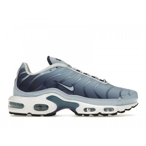 Кроссы Nike Air Max Plus Celestine Blue (W) - женская сетка размеров