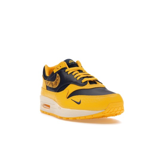 Кроссы Nike Air Max 1 CO.JP Michigan Head to Head (W) - женская сетка размеров