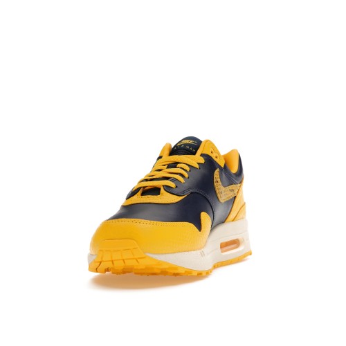 Кроссы Nike Air Max 1 CO.JP Michigan Head to Head (W) - женская сетка размеров