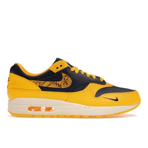 Кроссы Nike Air Max 1 CO.JP Michigan Head to Head (W) - женская сетка размеров