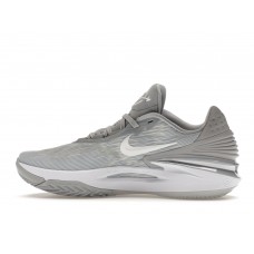 Кроссовки Nike Air Zoom GT Cut 2 TB Wolf Grey