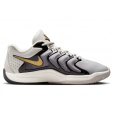 Кроссовки Nike KD 17 Light Iron Ore Metallic Gold