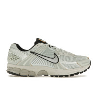 Женские Nike Zoom Vomero 5 Light Silver Chrome (W)