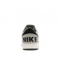 Кроссовки Nike Terminator Low Georgetown