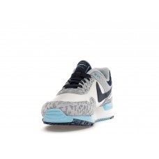 Кроссовки Nike Air Pegasus 89 Golf NRG Accept and Embrace