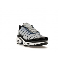 Nike Air Max Plus Pure Platinum Court Blue