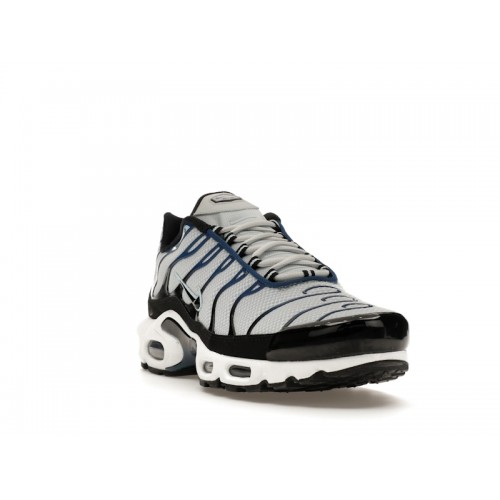 Кроссы Nike Air Max Plus Pure Platinum Court Blue - мужская сетка размеров