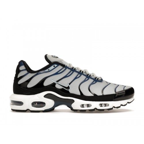 Кроссы Nike Air Max Plus Pure Platinum Court Blue - мужская сетка размеров