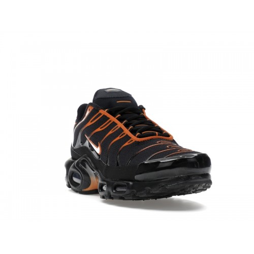 Nike Air Max Plus Dark Obsidian Monarch - мужская сетка размеров