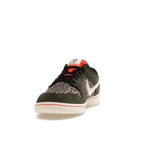 Кроссы Nike Dunk Low SE Gone Fishing Rainbow Trout - мужская сетка размеров