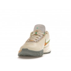Кроссовки Nike LeBron 20 FAMU Coconut Milk