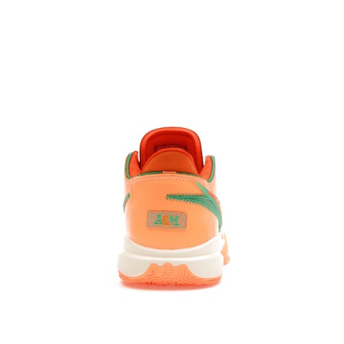 Кроссы Nike LeBron 20 FAMU Peach Cream - мужская сетка размеров