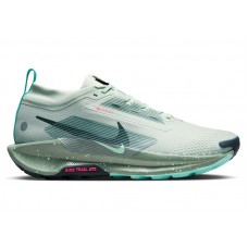 Кроссовки Nike React Pegasus Trail 5 Gore-Tex Light Silver Clay Green