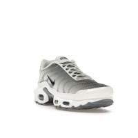 Женские Nike Air Max Plus Smoke Grey Ashen Slate (W)