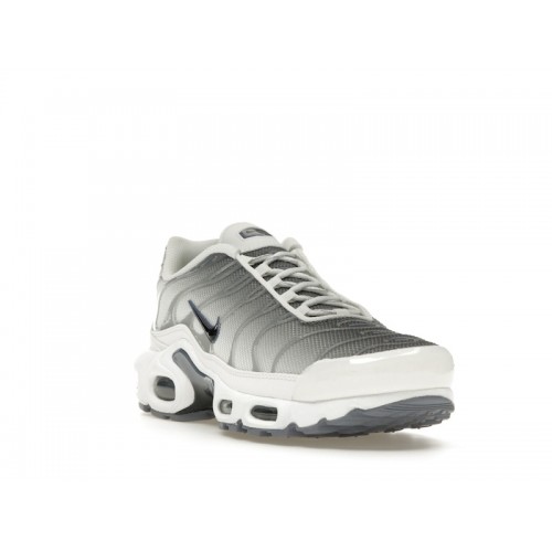 Кроссы Nike Air Max Plus Smoke Grey Ashen Slate (W) - женская сетка размеров