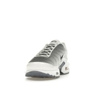 Женские Nike Air Max Plus Smoke Grey Ashen Slate (W)