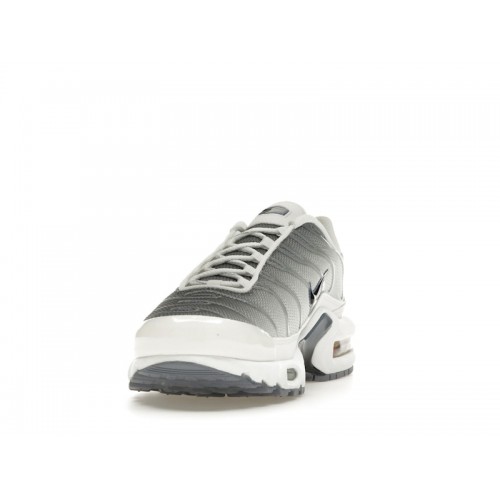 Кроссы Nike Air Max Plus Smoke Grey Ashen Slate (W) - женская сетка размеров