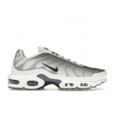 Женские кроссовки Nike Air Max Plus Smoke Grey Ashen Slate (W)
