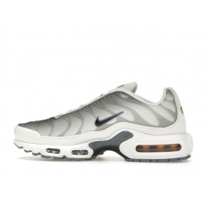 Женские Nike Air Max Plus Smoke Grey Ashen Slate (W)