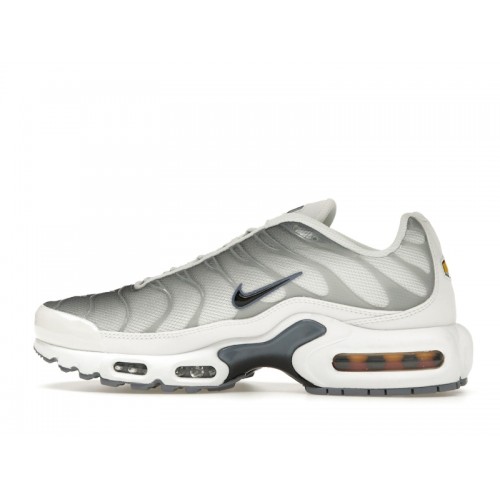 Кроссы Nike Air Max Plus Smoke Grey Ashen Slate (W) - женская сетка размеров