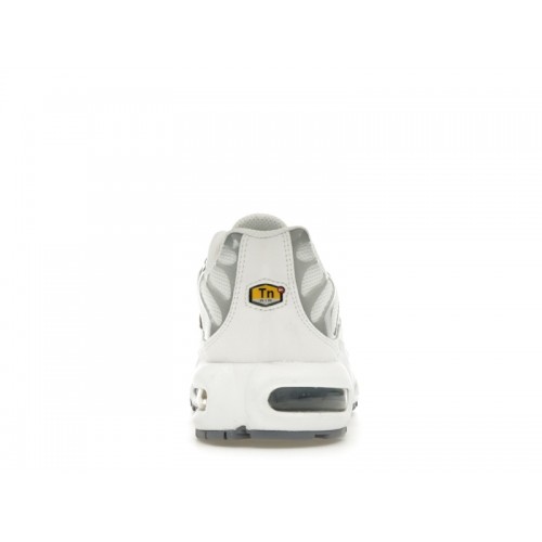 Кроссы Nike Air Max Plus Smoke Grey Ashen Slate (W) - женская сетка размеров