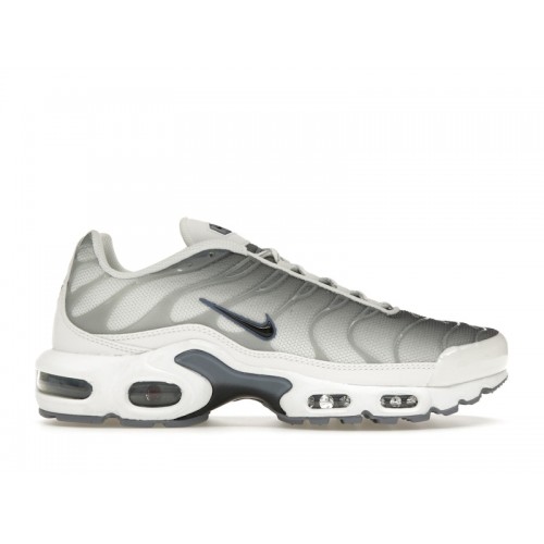 Кроссы Nike Air Max Plus Smoke Grey Ashen Slate (W) - женская сетка размеров