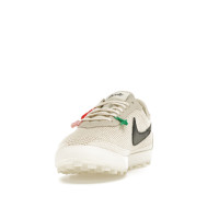 Кроссовки Nike Astro Grabber SP Bode Natural