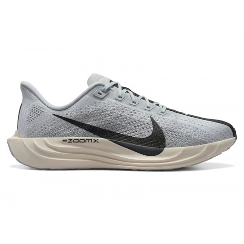 Nike ZoomX Pegasus Plus Pure Platinum Wolf Grey - мужская сетка размеров