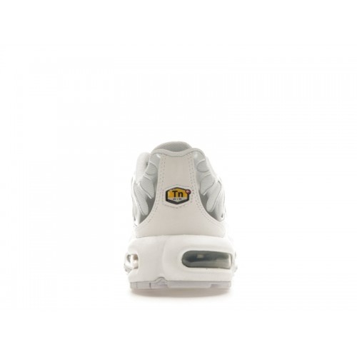 Кроссы Nike Air Max Plus White Metallic Silver (W) - женская сетка размеров