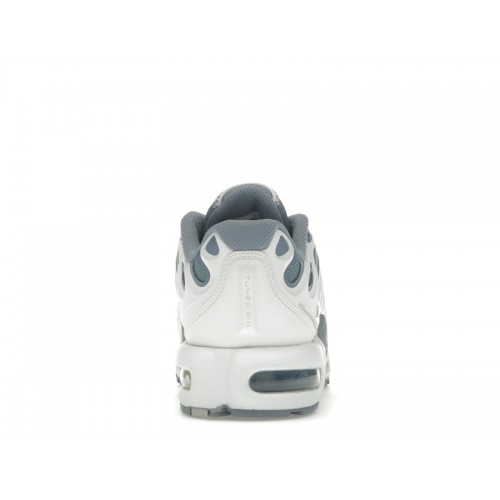 Кроссы Nike Air Max Plus Drift Ashen Slate (W) - женская сетка размеров