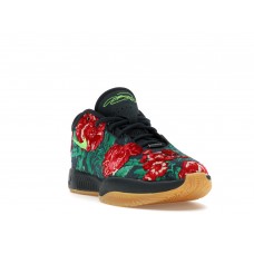 Кроссовки Nike LeBron 21 PRM Father of Pearl