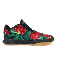 Кроссовки Nike LeBron 21 PRM Father of Pearl