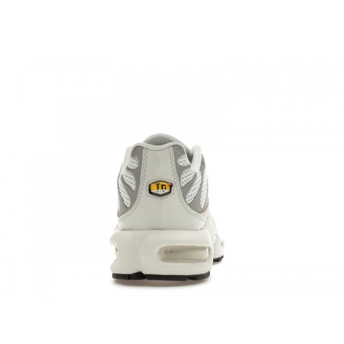 Кроссы Nike Air Max Plus Light Silver (W) - женская сетка размеров