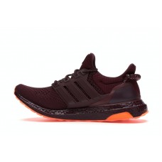 adidas Ultra Boost Beyonce Ivy Park