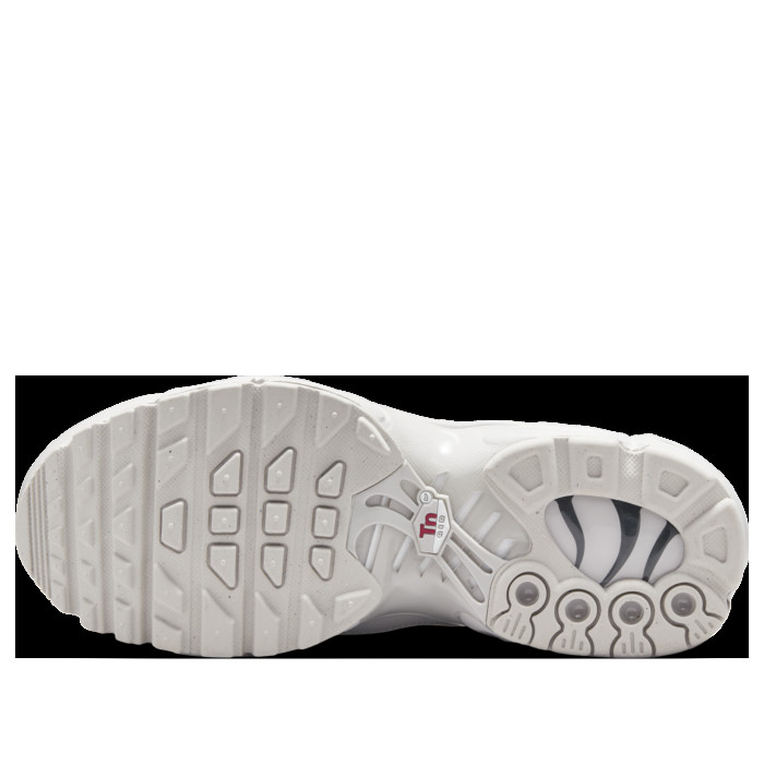Nike Air Max Plus GS Light Iron Ore Chrome - подростковая сетка размеров Nike Air Max Plus GS Light Iron Ore Chrome - подростковая сетка размеров