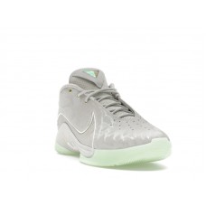 Nike LeBron 22 Dunkman (Translucent Outsole)