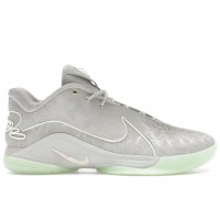 Nike LeBron 22 Dunkman (Translucent Outsole)