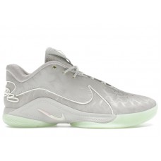 Nike LeBron 22 Dunkman (Translucent Outsole)