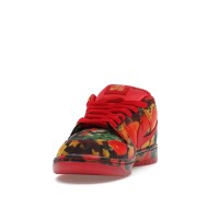 Nike SB Dunk Low The Wizard of Oz Poppy Field