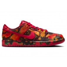 Кроссовки Nike SB Dunk Low The Wizard of Oz Poppy Field