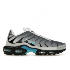 Кроссовки Nike Air Max Plus One Block Down Matte Silver