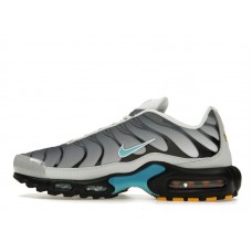 Nike Air Max Plus One Block Down Matte Silver