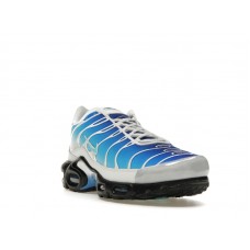 Nike Air Max Plus One Block Down Light Photo Blue