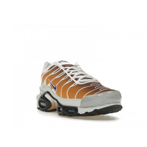 Nike One Block Down x Air Max Plus Reverse Pack - Cold Sun - мужская сетка размеров