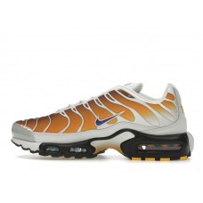 Nike Air Max Plus One Block Down Chutney